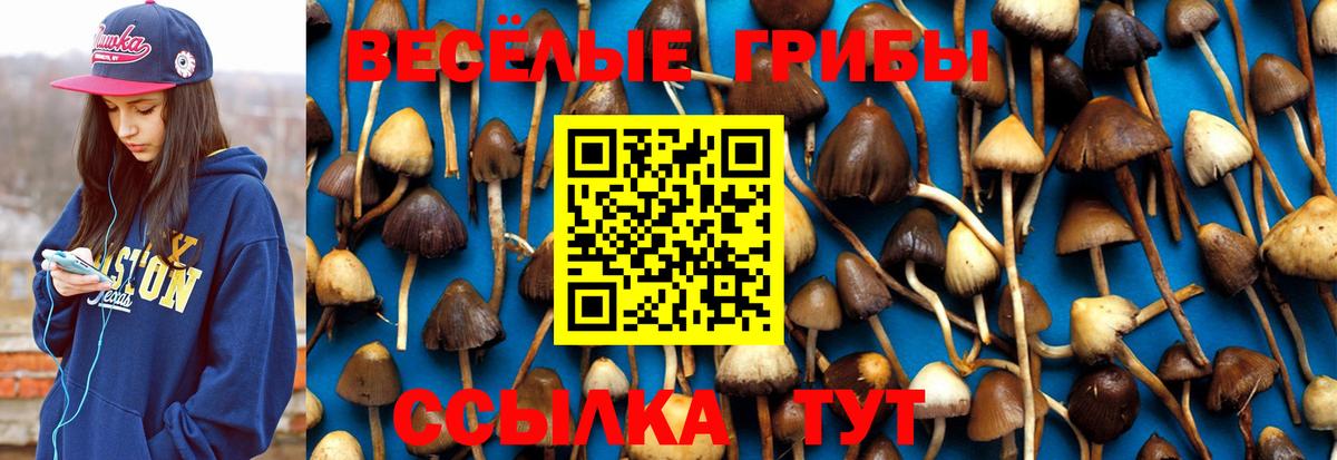 Назрань  Псилоцибиновые грибы Cubensis  Галлюциногенные грибы MAGIC MUSHROOMS  Вход с VPN 
